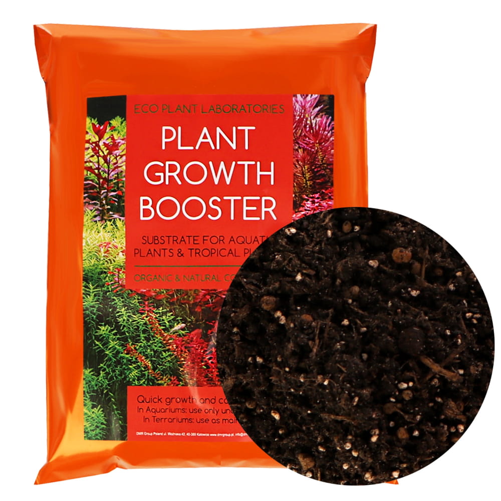 plant booster2.jpg